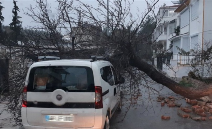 Bodrum'daki selin bilançosu ortaya çıktı: 130 ev ve iş yeri zarar gördü