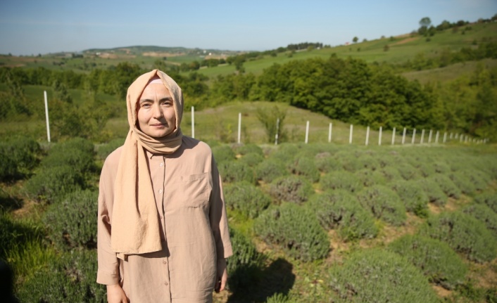 Girişimci kadın tarıma kazandırdığı arazide lavanta yetiştiriyor