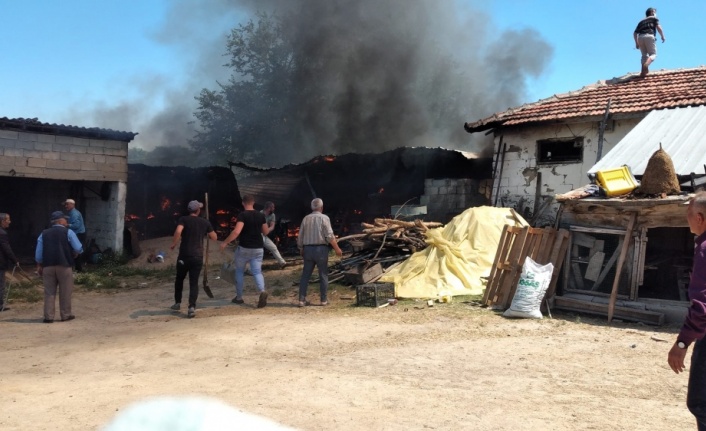 Kırklareli'nde tarım aletlerinin bulunduğu depoda çıkan yangın söndürüldü