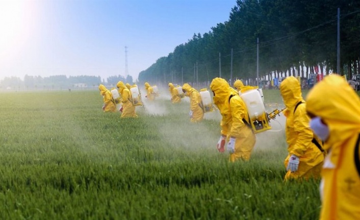 “Pestisit kalıntılı ürünler kimin sofrasında?”