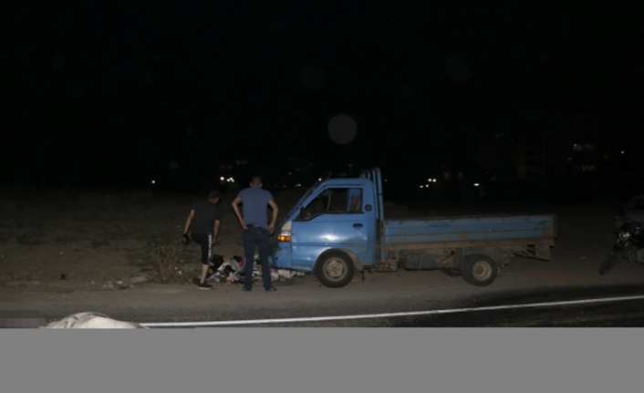 Edirne'de ata çarpan kamyonetin sürücüsü yaralandı
