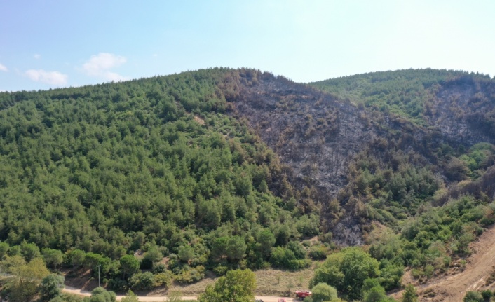 Balıkesir'deki orman yangınında soğutma çalışmaları sürüyor