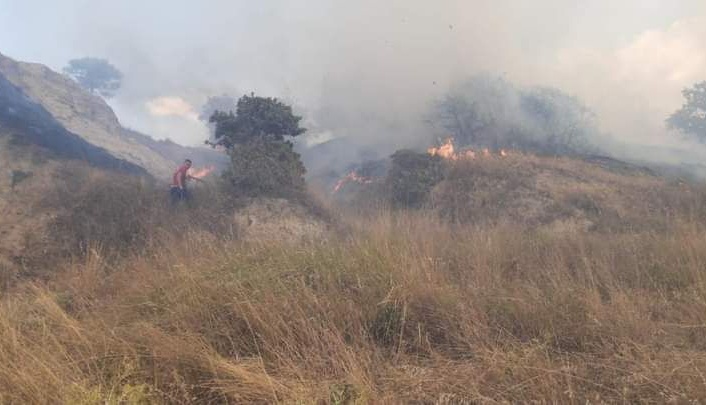 Edirne'de ormanlık alanda çıkan yangın söndürüldü