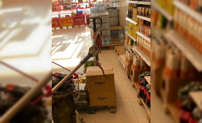 Yalova'da market rafında bulunan yılan doğaya bırakıldı