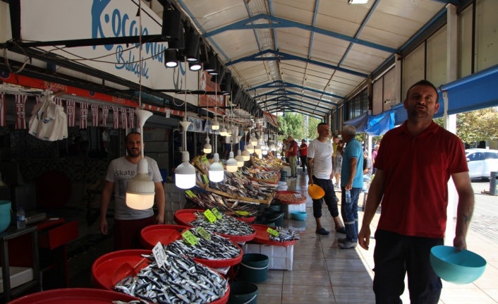 Bandırma'da denizdeki fırtınanın ardından balık bollaşınca fiyatlar düştü