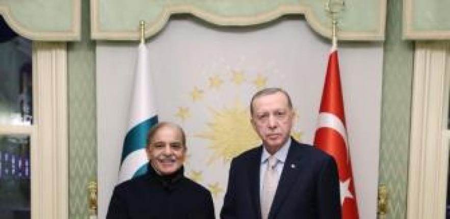 Cumhurbaşkanı Erdoğan ile Pakistan Başbakanı Şerif, heyetler arası görüşmeye katıldı