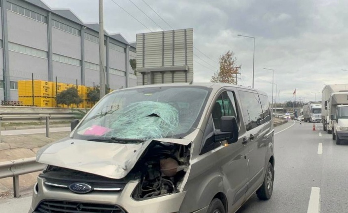Kocaeli'de panelvanın çarptığı yaya ağır yaralandı